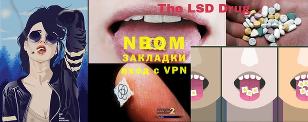 PSILOCYBIN Алзамай
