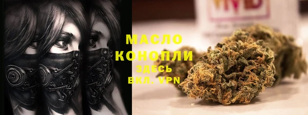 PSILOCYBIN Алзамай
