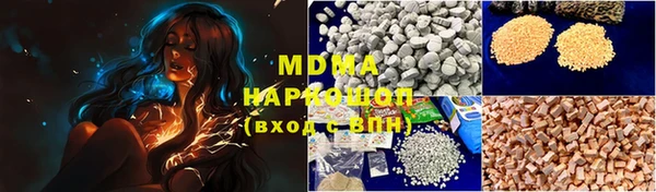 PSILOCYBIN Алзамай