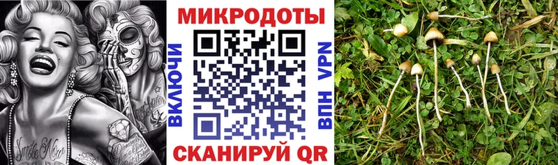 Псилоцибиновые грибы прущие грибы  магазин продажи   mega как зайти  Кириллов 